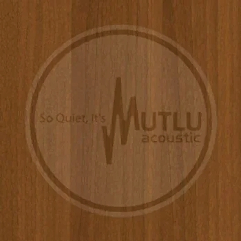 Yanısıtıcı Akustik Ahşap Panel 3