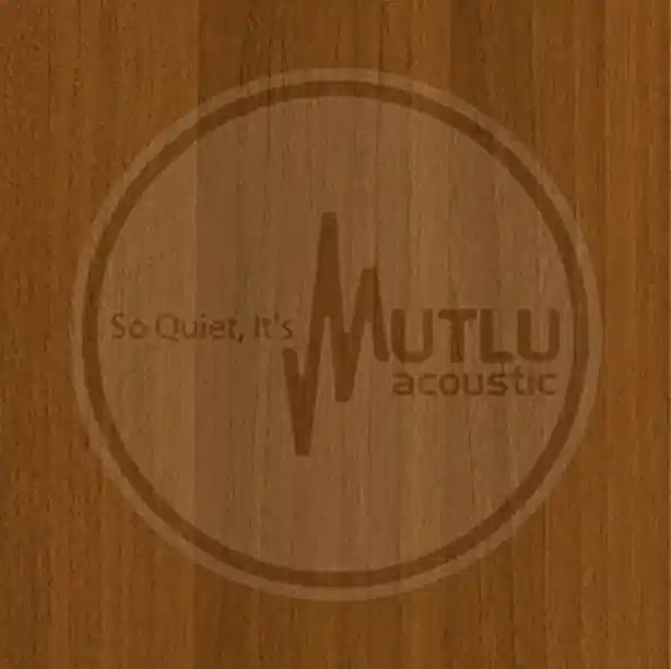 Yanısıtıcı Akustik Ahşap Panel 3