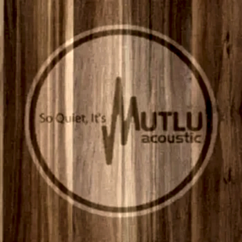 Yanısıtıcı Akustik Ahşap Panel 2