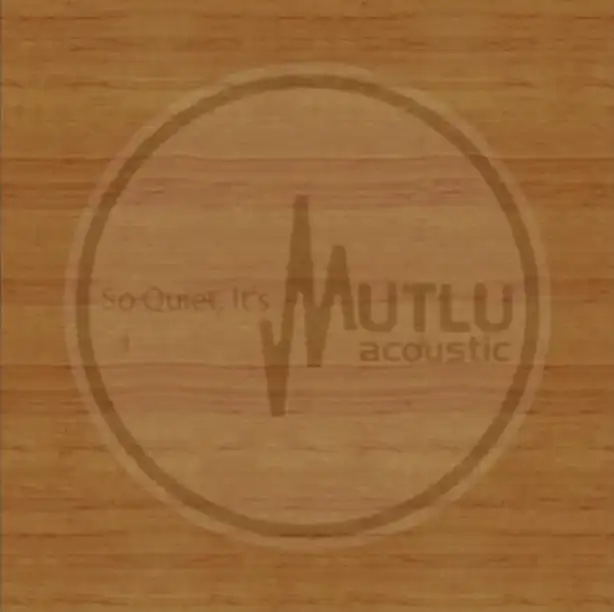 Yanısıtıcı Akustik Ahşap Panel 4