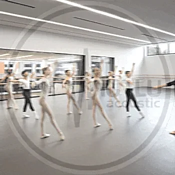 Dans Salonu Ses Yalıtımı 45 Dans Salonu Okulu Akustik Ses Yalıtımı