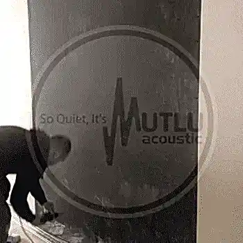 Ev Ses Yalıtımı