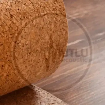 Mantar Şilte Parke Altı